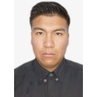 Aldo Fernando Mamani Mamani