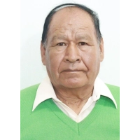 Antonio Mario Meneses Mamani