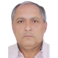 Carlos Ovidio Palacios Torres