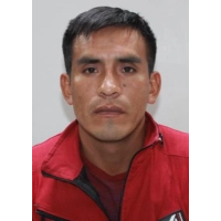 Carlos Peña Vilcatoma