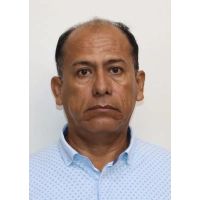 David Raul Condezo Estrada