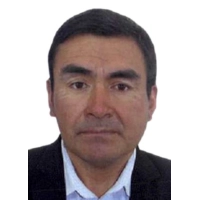 David Ronald Flores Mendoza
