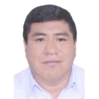 David Waldimar Mamani Ali