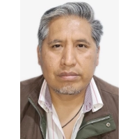 Delman David Gayoso Garcia