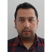 Denis Elmer Gamboa Castro