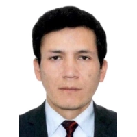 Dennis Noel Galarreta Leon