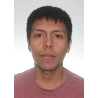 Diego Armando Sanchez Quispe
