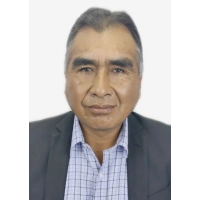 Emiliano Percy Morales Cornejo