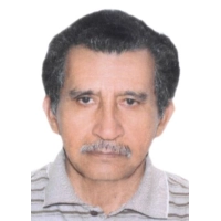 German Ricardo Saca Puicon