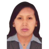 Irma Liz Flores Silva