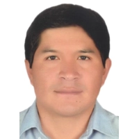 Juan Remigio Borda Avalos