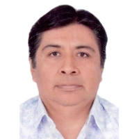 Ludwin Martin Mendoza Rodriguez