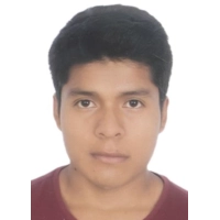 Luis Enrique Huerta Elias