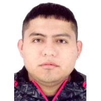 Luis Enrique Sebastian Llaullipoma