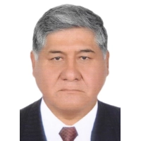 Luis Justo Mayta Livisi