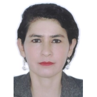Maria Mercedes Silva Donayre