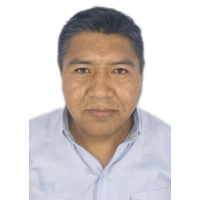 Mariano Ticona Amones