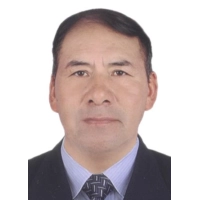 Paulino Wilfredo Vilca Vilca