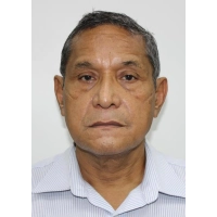 Victor Armando Huarancca Medina