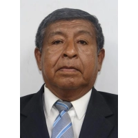 Victor Enrique Zegarra Fernandez