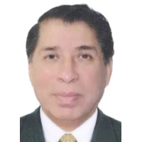 Victor Raul Paulini Sanchez