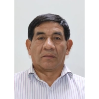 Victor Salas Gibaja