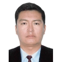 Walter David Huayapa Huamani