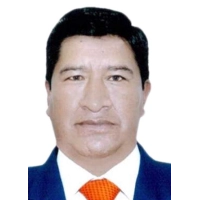 Wilmer Ulises Vilca Colquehuanca
