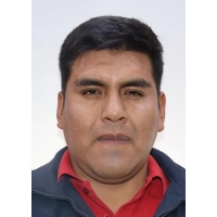 Wilson Herly Alvarez Mamani